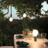 Open Air Life * | Aplo Lamp Reduction In Price