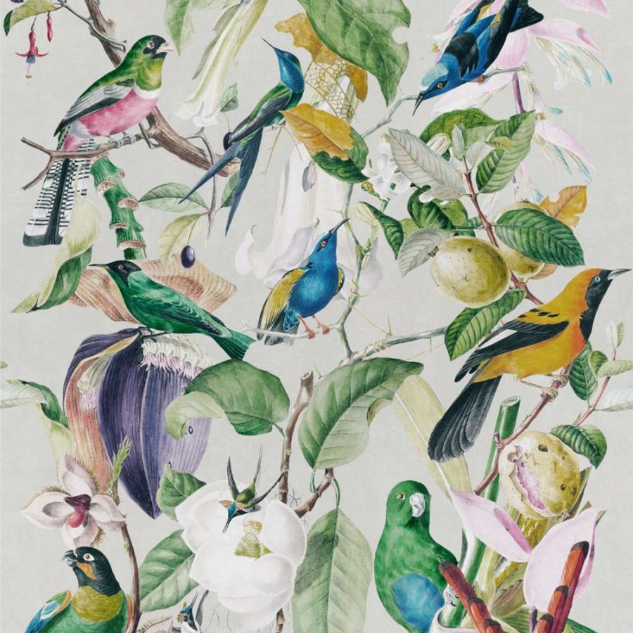 Open Air Life * | Birds Feature Wallcovering Exceptional Design