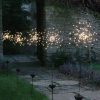 Open Air Life * | Allium Starburst Led Solar Outdoor Light Stake Set Of 5 Delicate Design